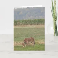 Cute Donkey in a Country Field Card