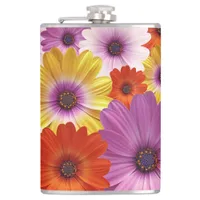 Colorful Medley of African Daisies Flowers Flask