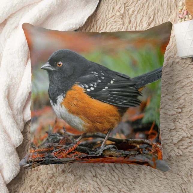 Profile of a Spotted Towhee Throw Pillow