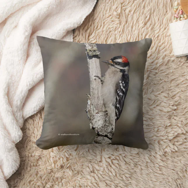 Downy Woodpecker Bird on Branch Throw Pillow