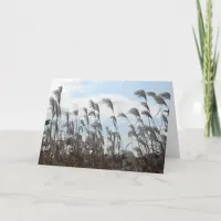 Nature Photography Card