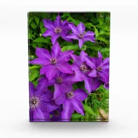 Pretty Purple Flowers  Photo Block