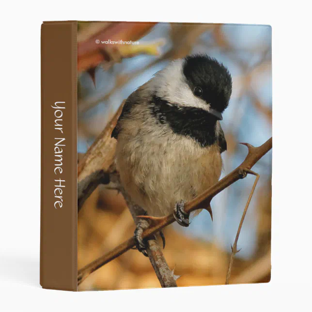 Cute Hopeful Black-Capped Chickadee Songbird Mini Binder