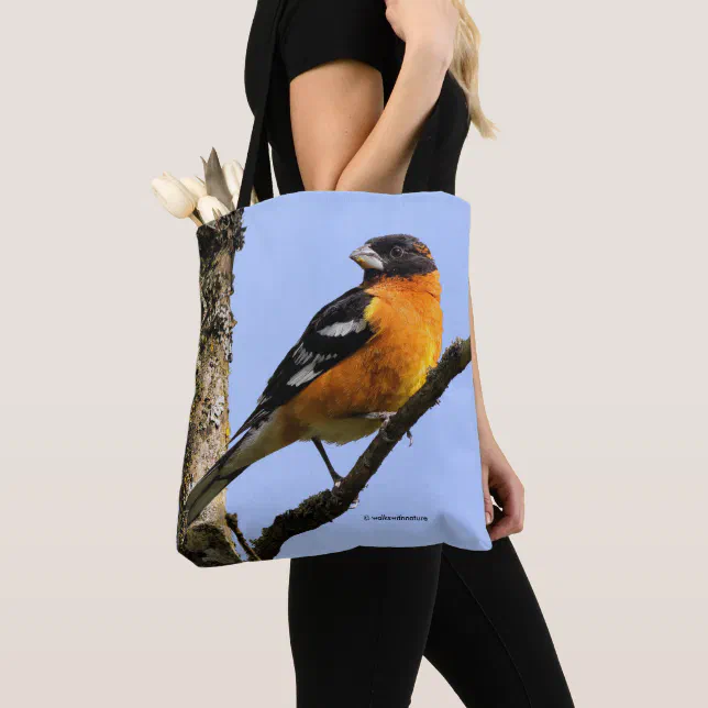 Beautiful Black-Headed Grosbeak in a Tree Tote Bag