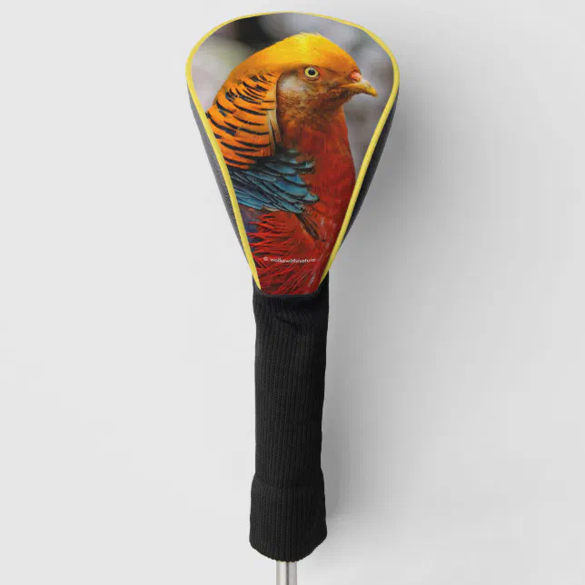 Profile of a Red Golden Pheasant Golf Head Cover