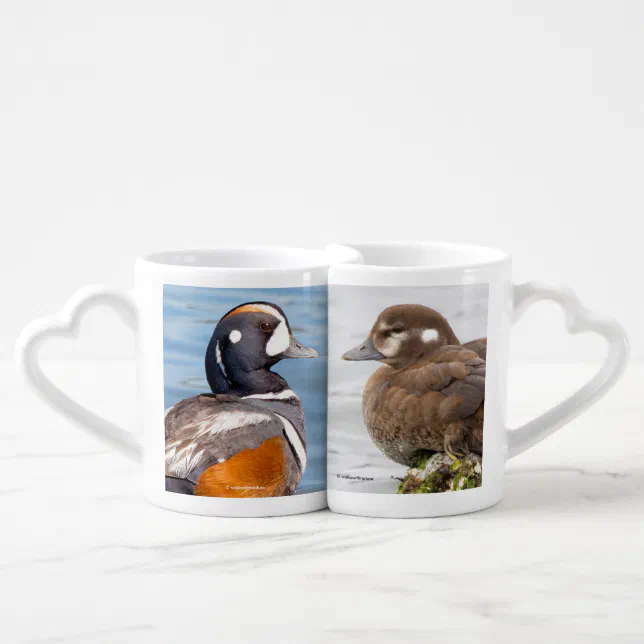 Stunning Harlequin Ducks Lovebirds Coffee Mug Set