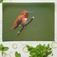 Stunning Rufous Hummingbird on the Cherry Tree Kitchen Towel