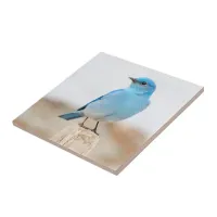 Beautiful Mountain Bluebird on Beach Stump Ceramic Tile