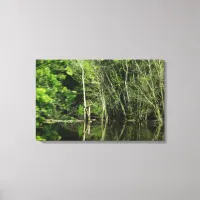 Mississippi River Tree Reflections Canvas Art