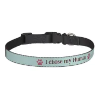 Personalized Paw  Pet Collar