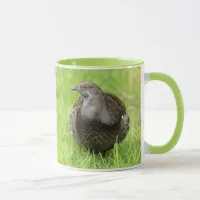 Beautiful Sooty Grouse Gamebird in the Grass Mug