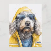 Adorable Dog in a yellow raincoat  Postcard