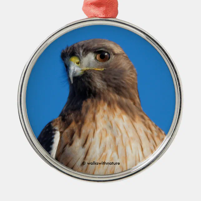 Magnificent Red-Tailed Hawk in the Sun Metal Ornament