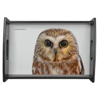 Cute Little Northern Saw Whet Owl Serving Tray
