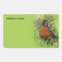 Curious American Robin Songbird in the Grass Post-it Notes