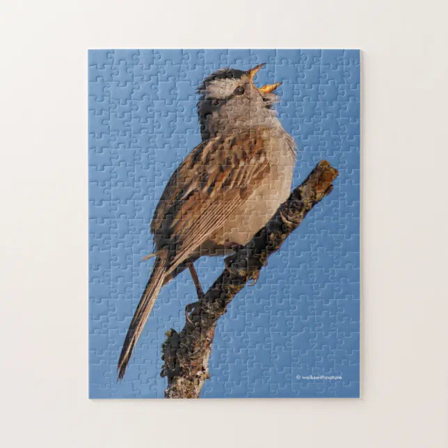 A White-Crowned Sparrow Sings to the Morning Sun Jigsaw Puzzle