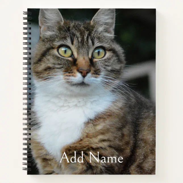 Custom Photo Cat and Name Personalized Women Notebook