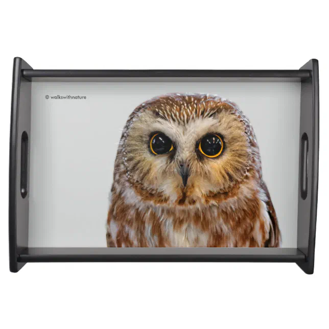 Cute Little Northern Saw Whet Owl Serving Tray