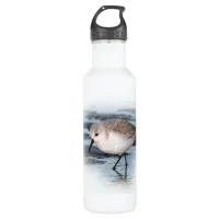 Sanderling Strolling on a Winter Beach Stainless Steel Water Bottle