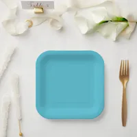 Modern coastal aqua solid paper plates