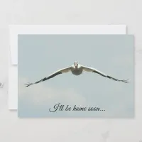 I'll be Home Soon, Pelican Flying  Card