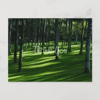 Palm Tree Forest Thank You Postcard