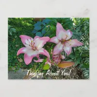 Thinking About You Pretty Pink Lilies Postcard