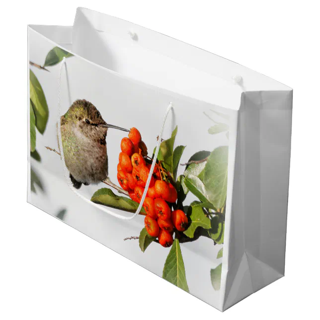 Adorable Anna's Hummingbird on Berry Bush Large Gift Bag