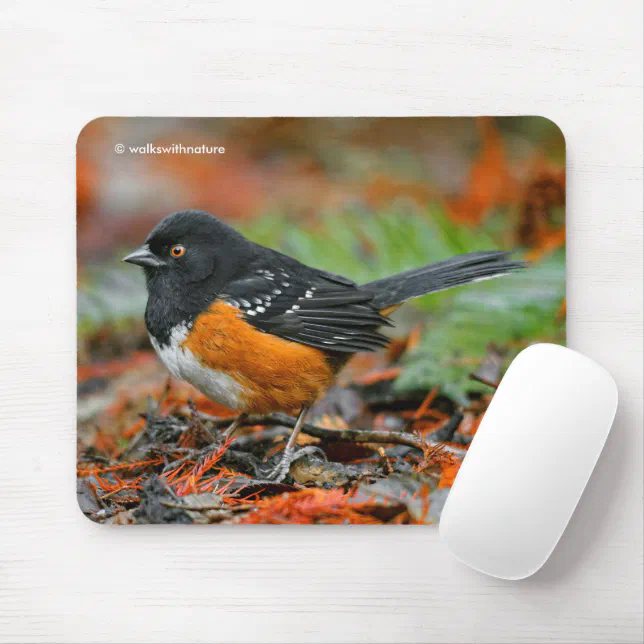 Spotted Towhee Sparrow in Autumn Leaf Litter Mouse Pad