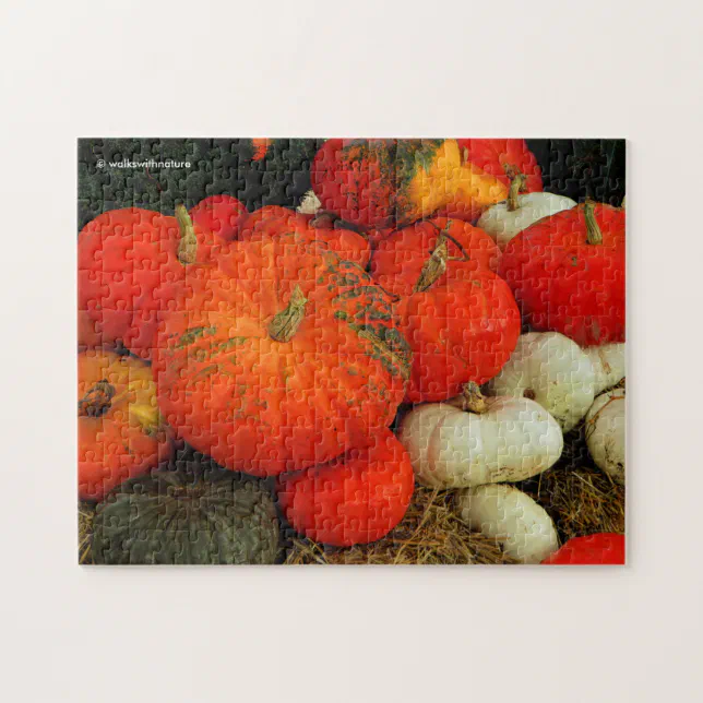 Plenty of Pumpkins Jigsaw Puzzle