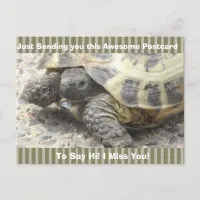 Cute Turtle "I Miss YOU" Saying Hi Post Card