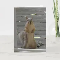 Cute Squirrel, Keep in Touch, Card