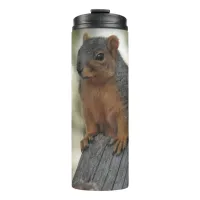 Adorable Squirrel Photograph  Thermal Tumbler