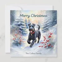 Kerry Blue Terrier In Snow Winter Merry Christmas Holiday Card