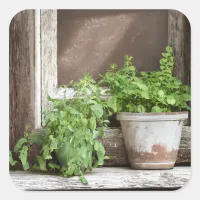 Pretty Plants in Rustic Window Square Sticker