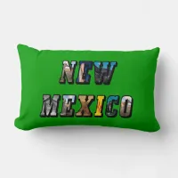 New Mexico, USA Text Lumbar Pillow