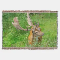 In hiding - little deer - wildlife photography throw blanket