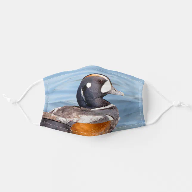 Beautiful Harlequin Duck on the Rock Adult Cloth Face Mask