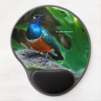 A Stunning African Superb Starling Songbird Gel Mouse Pad