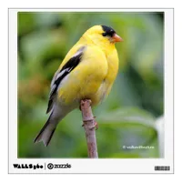 Male American Goldfinch on the Bamboo Wall Decal