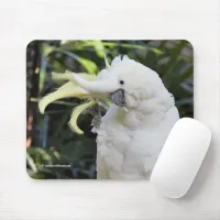 Sulfur-Crested Cockatoo Parrot Bird Waves Mouse Pad