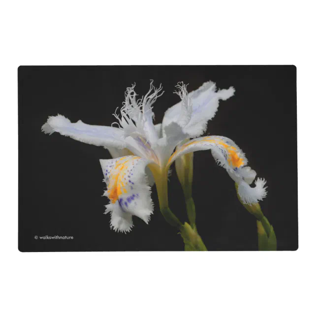 Elegant Japanese Crested Iris White Flowers Placemat