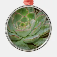 Succulents Metal Ornament