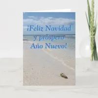 Spanish Isla Saona Caribbean Beach Merry Christmas Holiday Card