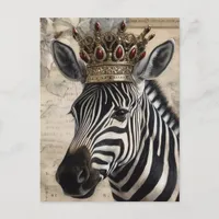 Zebra in a Ruby Crown Postcard