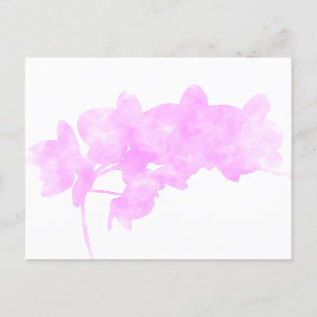 Orchid Shadow Postcard