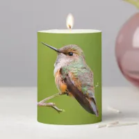 Rufous Hummingbird in the California Lilac Pillar Candle