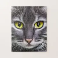 Wonderful cat portrait   jigsaw puzzle