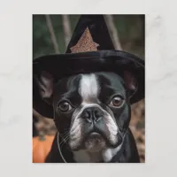 Halloween Boston Terrier Postcard