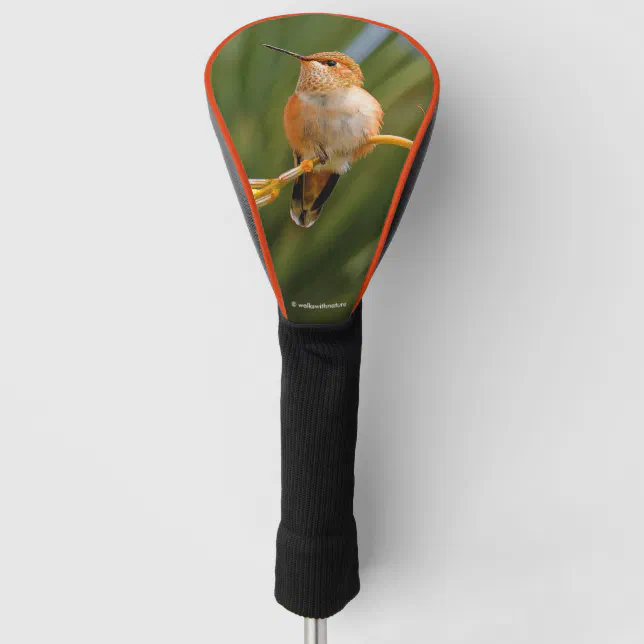 Rufous Hummingbird at Rest Golf Head Cover
